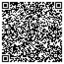 QR code with Pro Paints contacts