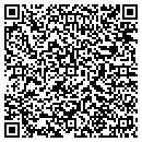 QR code with C J Nemes Inc contacts