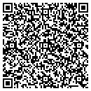QR code with Public Storage contacts