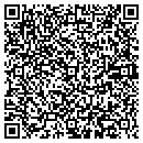 QR code with Professional Paint contacts