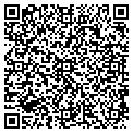 QR code with Wkvq contacts