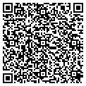 QR code with Felso contacts