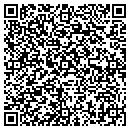 QR code with Punctual Plumber contacts