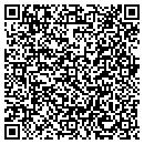 QR code with Process Server Inc contacts