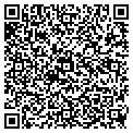 QR code with A Team contacts