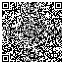 QR code with Process Solutions contacts