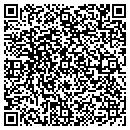 QR code with Borrego Paints contacts