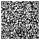 QR code with Pro Paint Solutions contacts