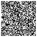 QR code with Practical Plumbing contacts