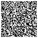 QR code with Cook's Custom & Paint contacts