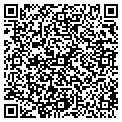 QR code with Wlsi contacts