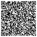 QR code with Curing Kids Cancer Inc contacts