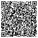 QR code with Wdgl contacts