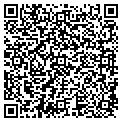 QR code with Wtge contacts
