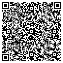 QR code with Cygnet Aerospace Corp contacts