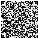 QR code with Cynthia's Skin Care contacts