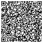 QR code with Public Interactive Inc contacts
