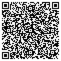 QR code with Allies contacts