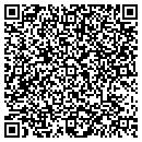 QR code with C&P Landscaping contacts