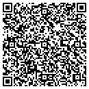 QR code with Baldanzi & Co contacts