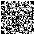 QR code with Wolv contacts