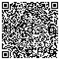 QR code with W Wmt contacts