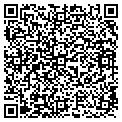 QR code with Wvsd contacts