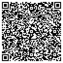 QR code with Carcache Consulting Inc contacts