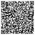 QR code with Kisn contacts