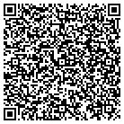 QR code with Brian Handyman Service contacts