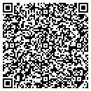 QR code with Professional Handyman contacts