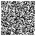 QR code with Delphi contacts
