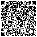 QR code with Pro Computers contacts