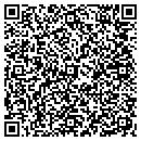 QR code with C I F Computer Service contacts