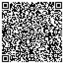 QR code with Dt Computer Services contacts