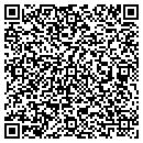 QR code with Precision Audiosonic contacts
