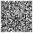 QR code with Project Zero contacts