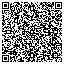 QR code with Premier Remediation contacts