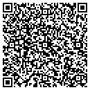 QR code with Precision Handyman contacts