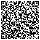 QR code with Brijer Resources LLC contacts
