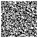 QR code with Premier Computers contacts