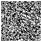QR code with Pulkin Computer Service contacts