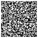 QR code with Carters Contracting contacts