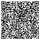 QR code with Public Records contacts