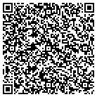 QR code with Publik Transit Studio LLC contacts