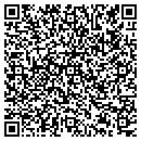 QR code with Chenango Environmental contacts