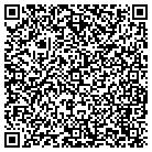 QR code with Brians Handyman Service contacts