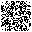 QR code with Carlton Technologies Inc contacts