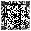 QR code with Lifetime contacts