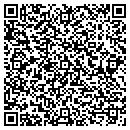 QR code with Carlisle Art & Frame contacts